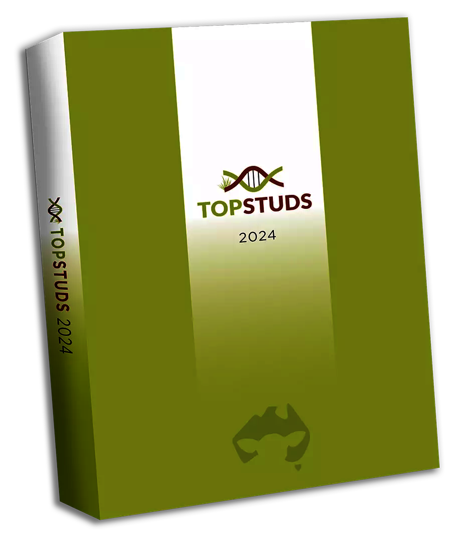 Top Studs book