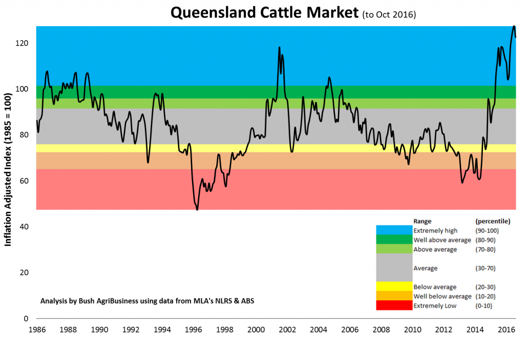 Graph depicting Qld Cattle Market to Oct 2016