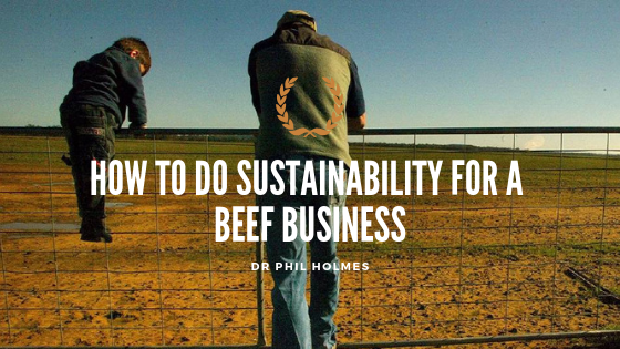 How to do sustainability for a beef business
