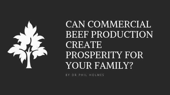 Can Commercial Beef Production create prosperity for your family?