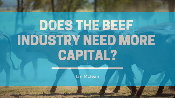 Does the beef industry need more capital?