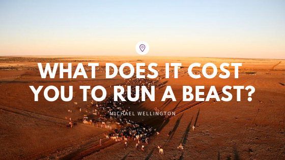 What does it cost your business to run a beast?