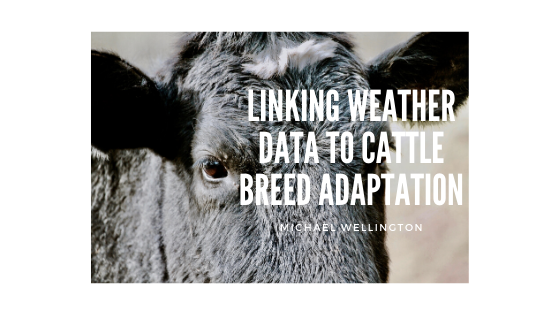 Linking weather data to cattle breed adaptation
